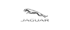 jaguar_c